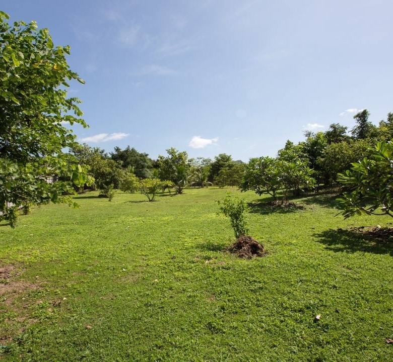 Sophisticated Hua Hin Villa Extensive Plot Black Mountain