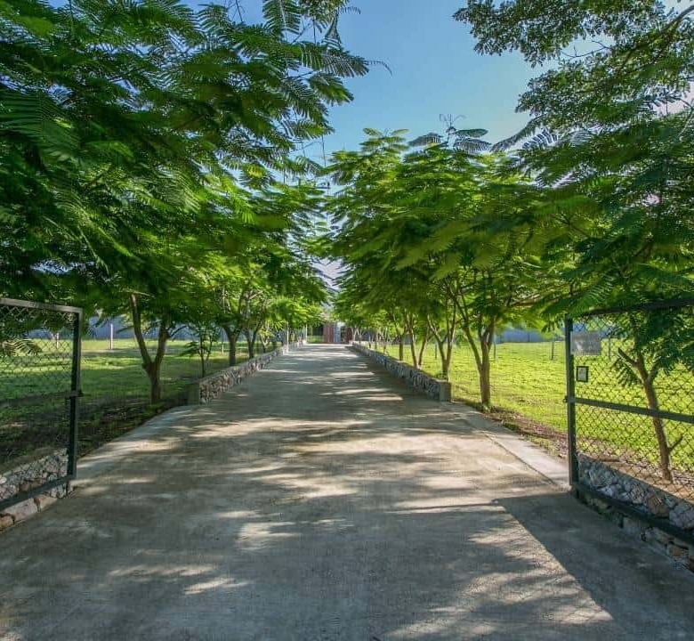 Impressive Hua Hin Property Big Grounds Golf Access