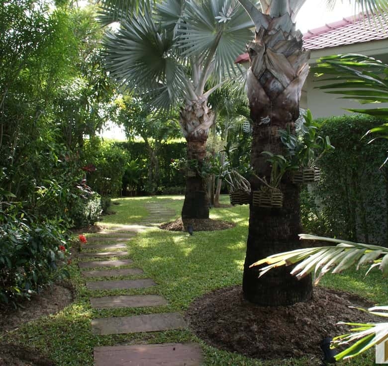 Park Villa Sales Hua Hin Modern