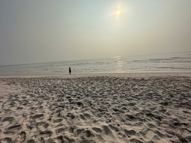 Beachfront Condo Sale Feature