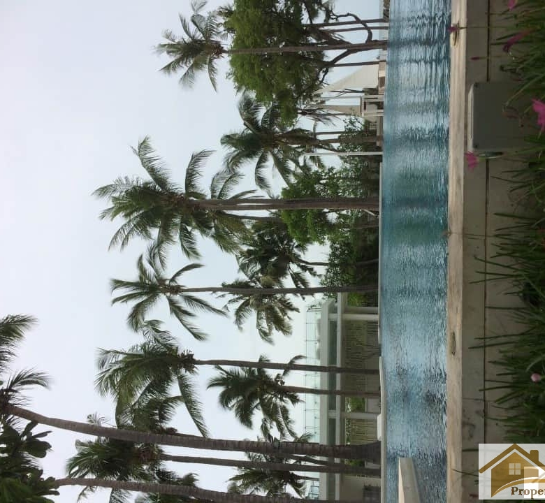 Impressive Condo Sales Building View