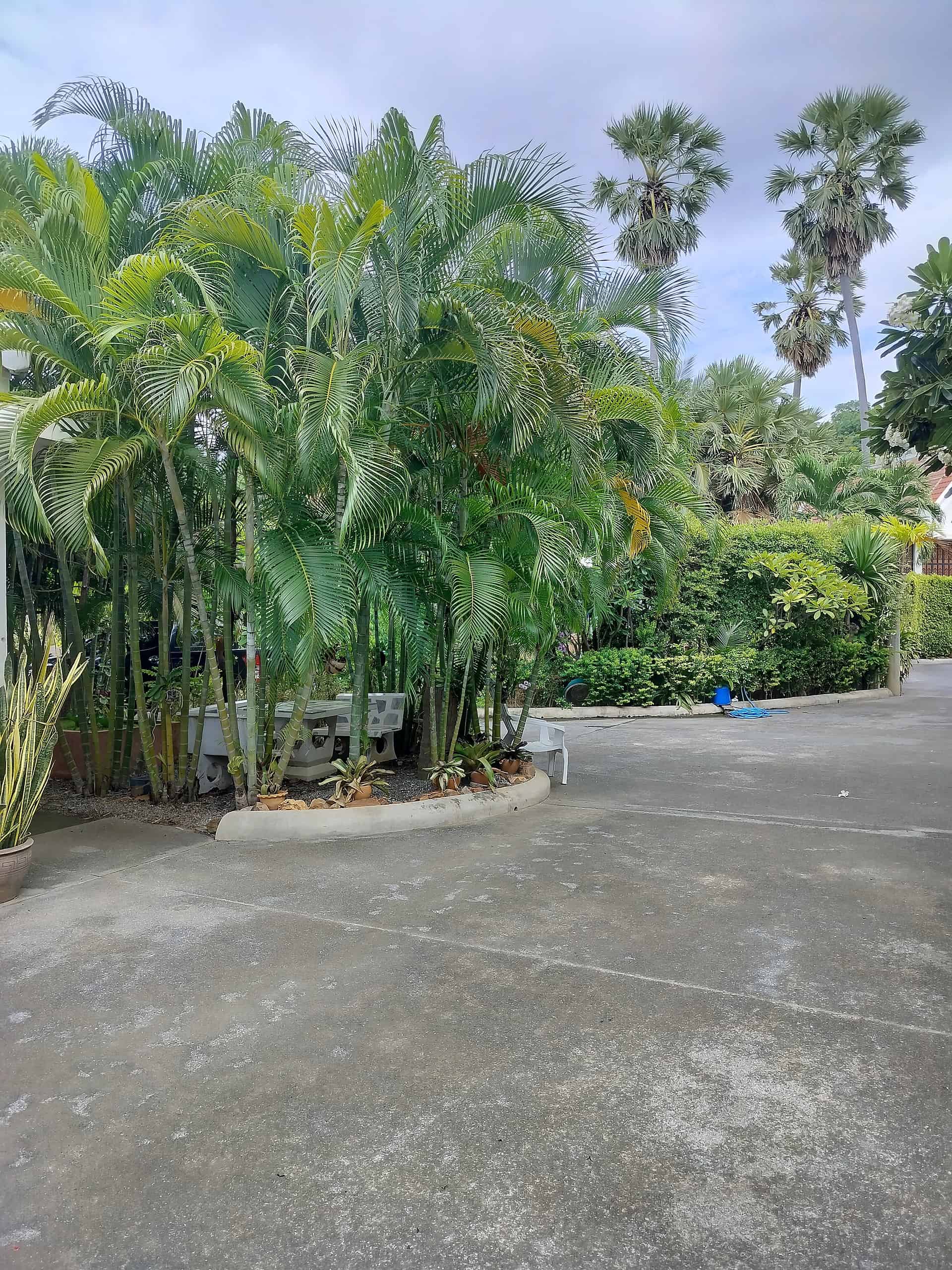 Luxury Villa Swimming Pool Thailand Gorgeous Villa Sales Khao Kalok Spot