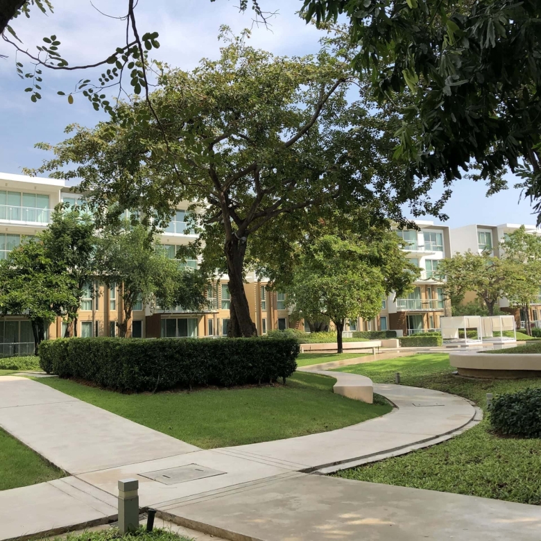 Hua Hin Condo Sales Feature